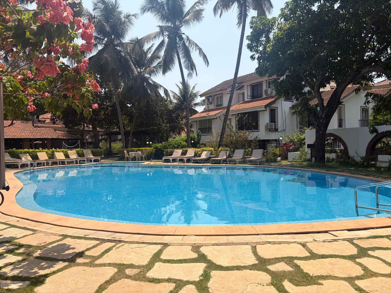 Blue Palm Stays pool with palms and bougainvillea, Arpora, Goa